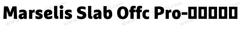 Marselis Slab Offc Pro字体转换